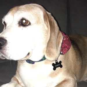 Meet your Posher, Corey